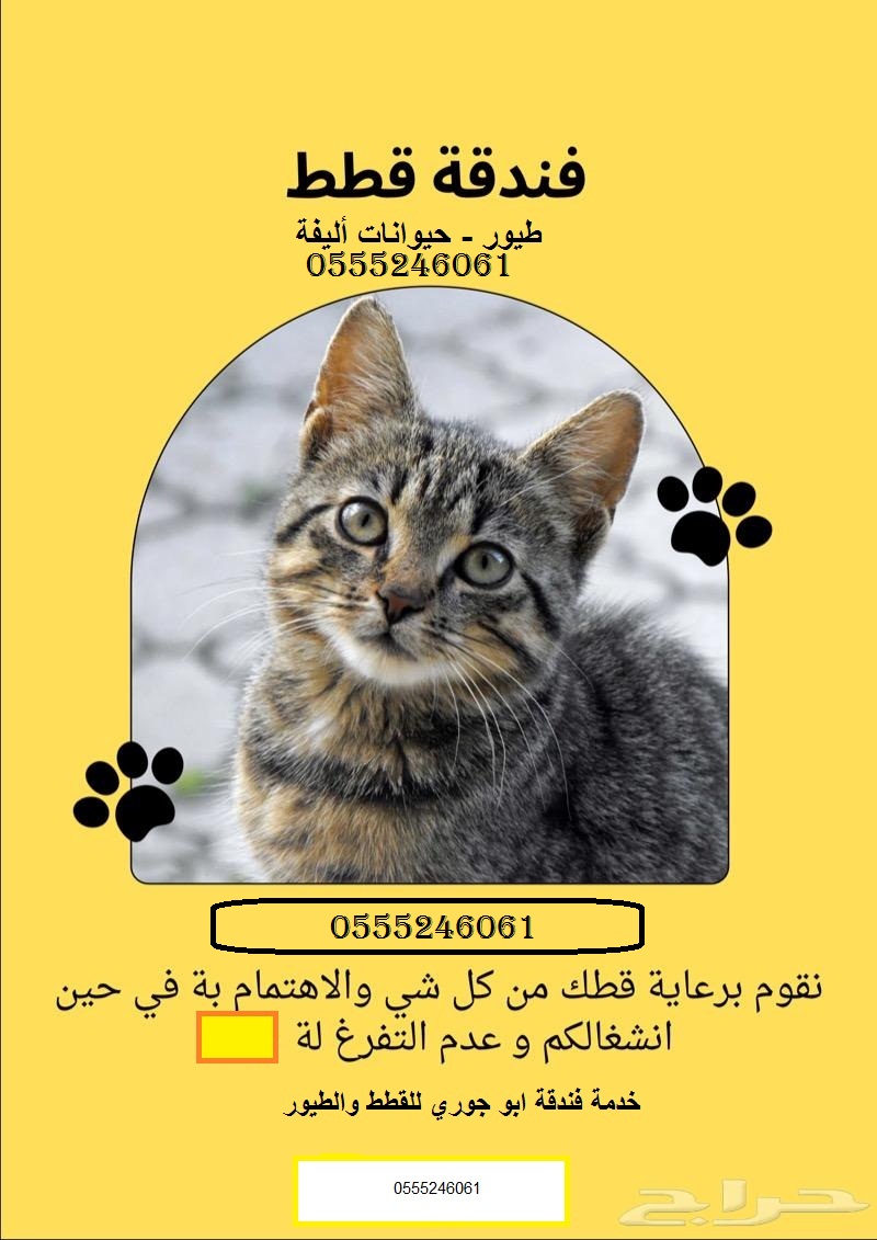فندقة قطط 1  6  0  6  24  0555 وقت سفركم - مدينة الرياض