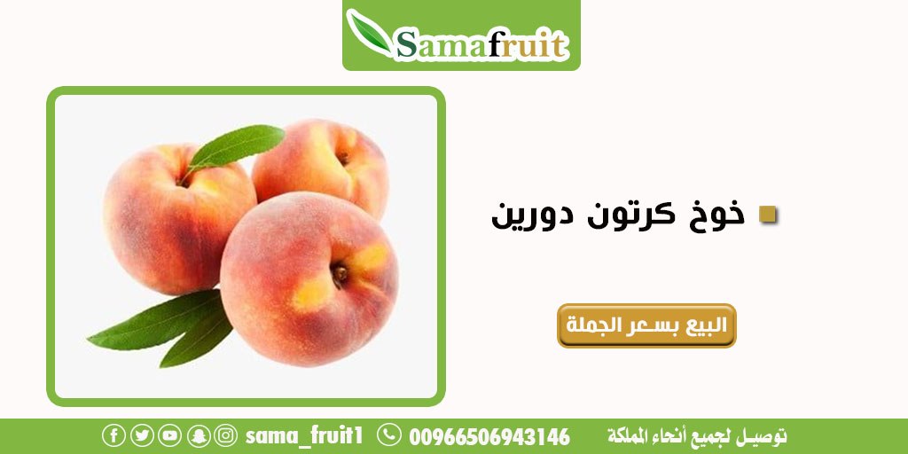 بيع خضروات وفواكة اون لاين بسعر الجملة في الرياض samafruit