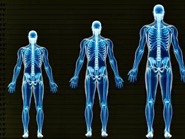 لزيادة طول القامة.. العلاج الانكليزي الأصلي