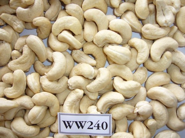   Vietnamese Cashew Nuts Kernels WW450 wholesale