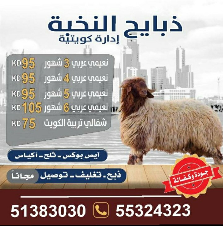 شركه وملحمه  النخبة للمواشي نعيمي وشفالي 