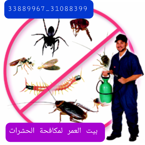 مكافحة الحشرات والزواحف والقوارض شركة مكافحة الحشرات المنزلية قطر