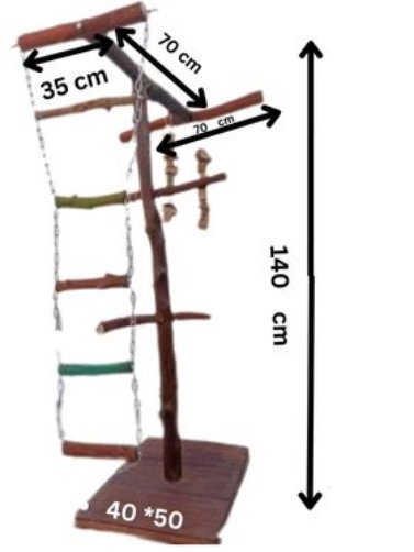 Parrot Stand tree wood استاند ببغاء و طيور زينة و ببغاوات