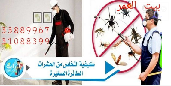 القضاء علي الحشرات والزواحف والقوارض