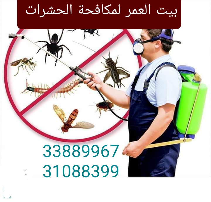 مكافحة الحشرات والزواحف والقوارض