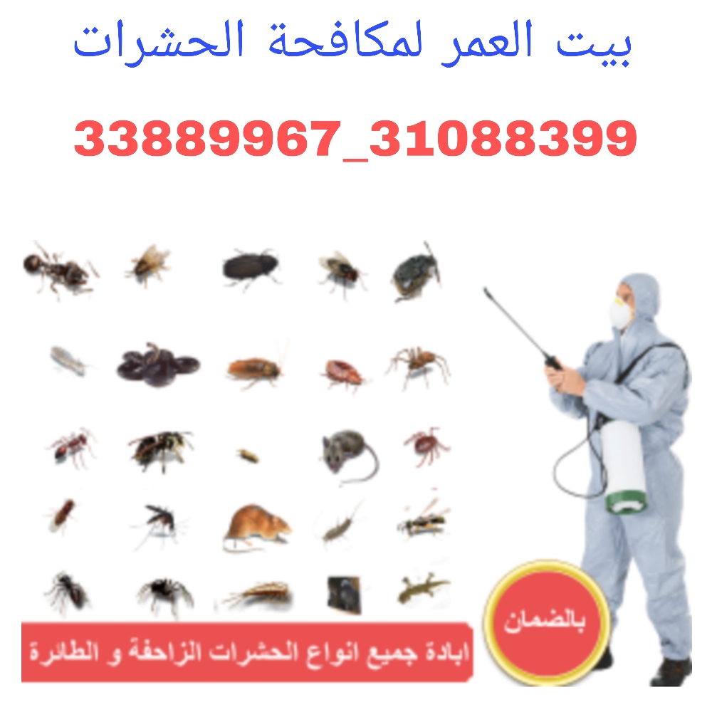 ابادة الحشرات