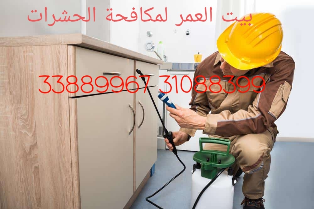 مكافحة الحشرات والزواحف والقولرض