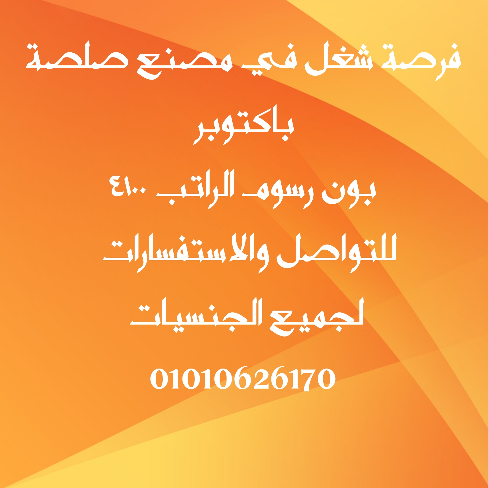 مطلوب عمال في مصنع صلصة باكتوبر 