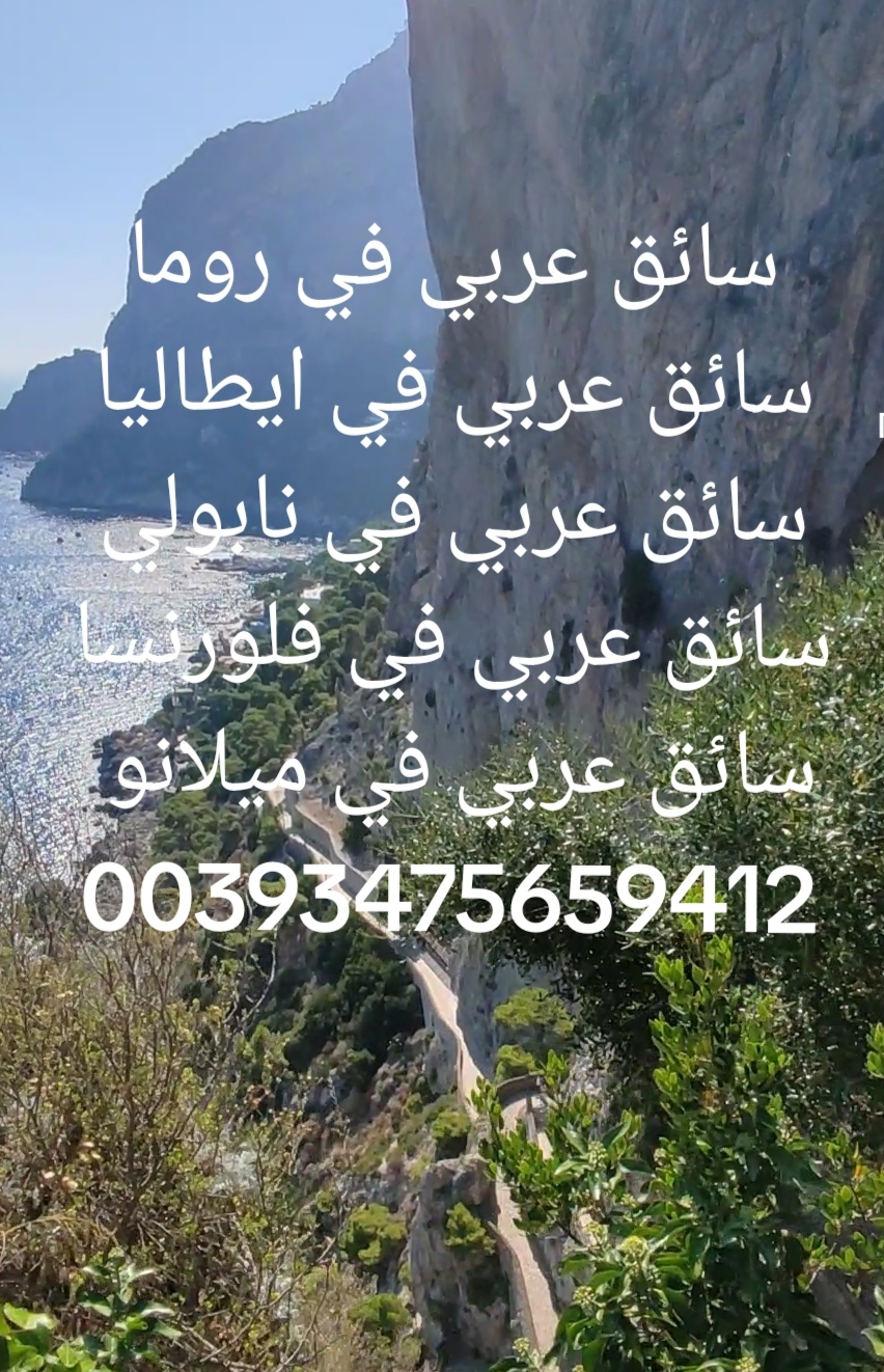 سائق في نابولي 00393475659412 سائق في نابولي ايطاليا 