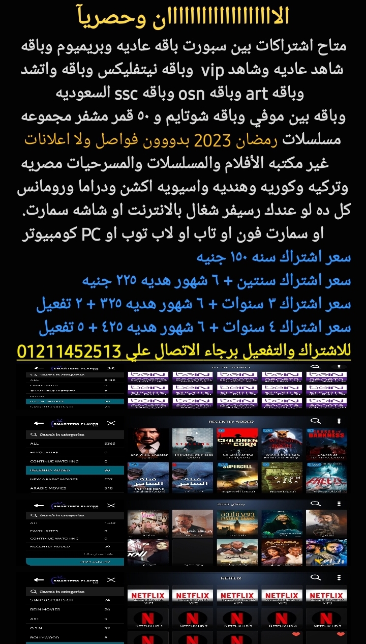 اشتراكات بين سبورت ونيتفليكس