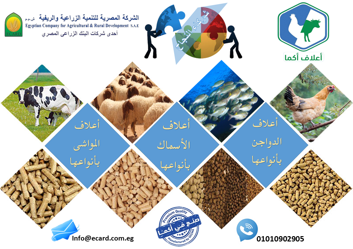 توقيع شراكة استراتيجية بين الشركة المصرية للتنمية الزراعية والريفية و مصنع أكما