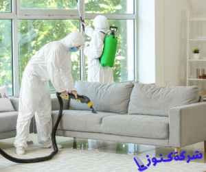 شركة تنظيف الكنب والارائك في الرياض 