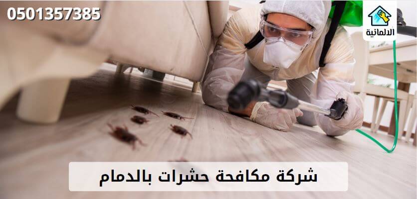 شركة مكافحة حشرات الدمام بالضمان