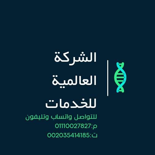 الشركة العالمية للخدمات العامة