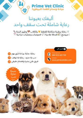Prime Vet Clinic | عيادة وسام القمة البيطرية  - الموقع: الرياض – حي الملك سلمان (الواحة)