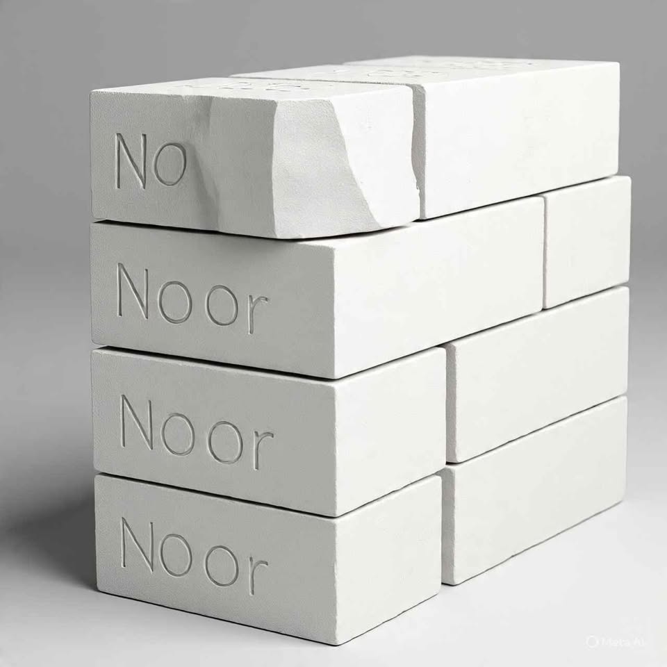 الطوب الأبيض الرغوي من شركة النور مع شركة النور بنقدملك طوب أبيض رغوي عالي الجودة