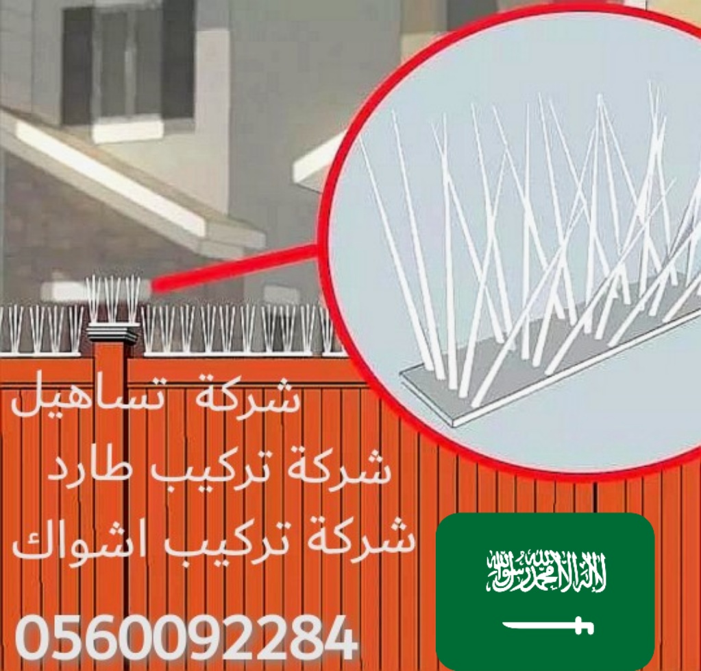 تركيب اشواك طارد الحمام بالمدينة المنورة خدمات مكافحة الحمام 
