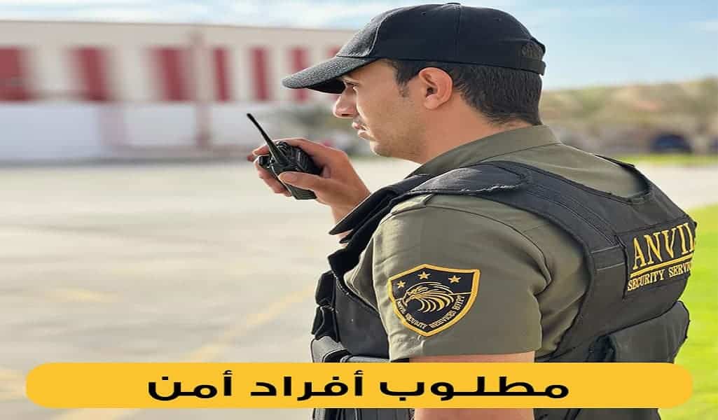 فرصة شغل مش هتتعوض في هيئة دبلوماسة معانا حتاخد اجازة 8 ايام فى الشهر