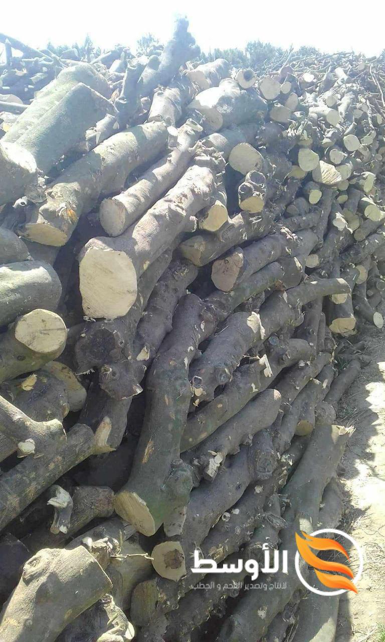 فحم الطلح النباتي للتصدير , فحم نخب اول مشاوي وشيشة , فحم مصنع الأوسط