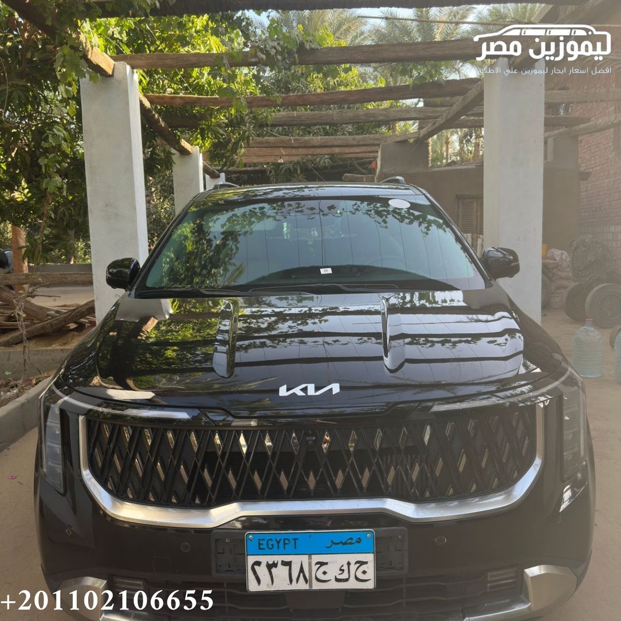 ???? Kia Carnival Rental with Professional Chauffeur | Dokki to El Alamein