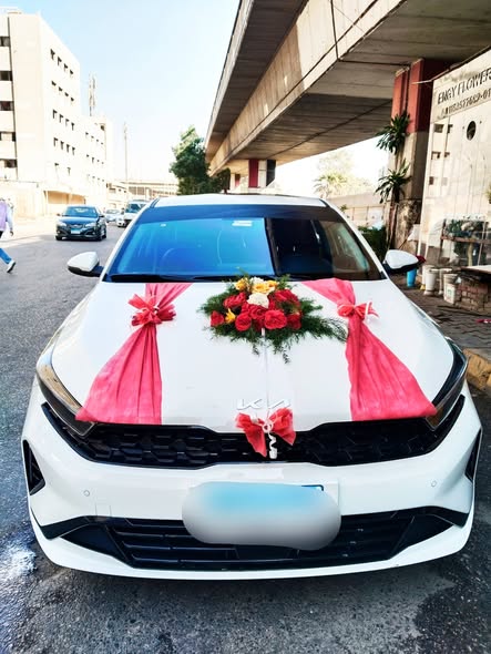 وتقدم شركه الدولي تشكيلة واسعة من السيارات الليموزين، بما في ذلك السيدان والسيارات الدفع الرباعي وال