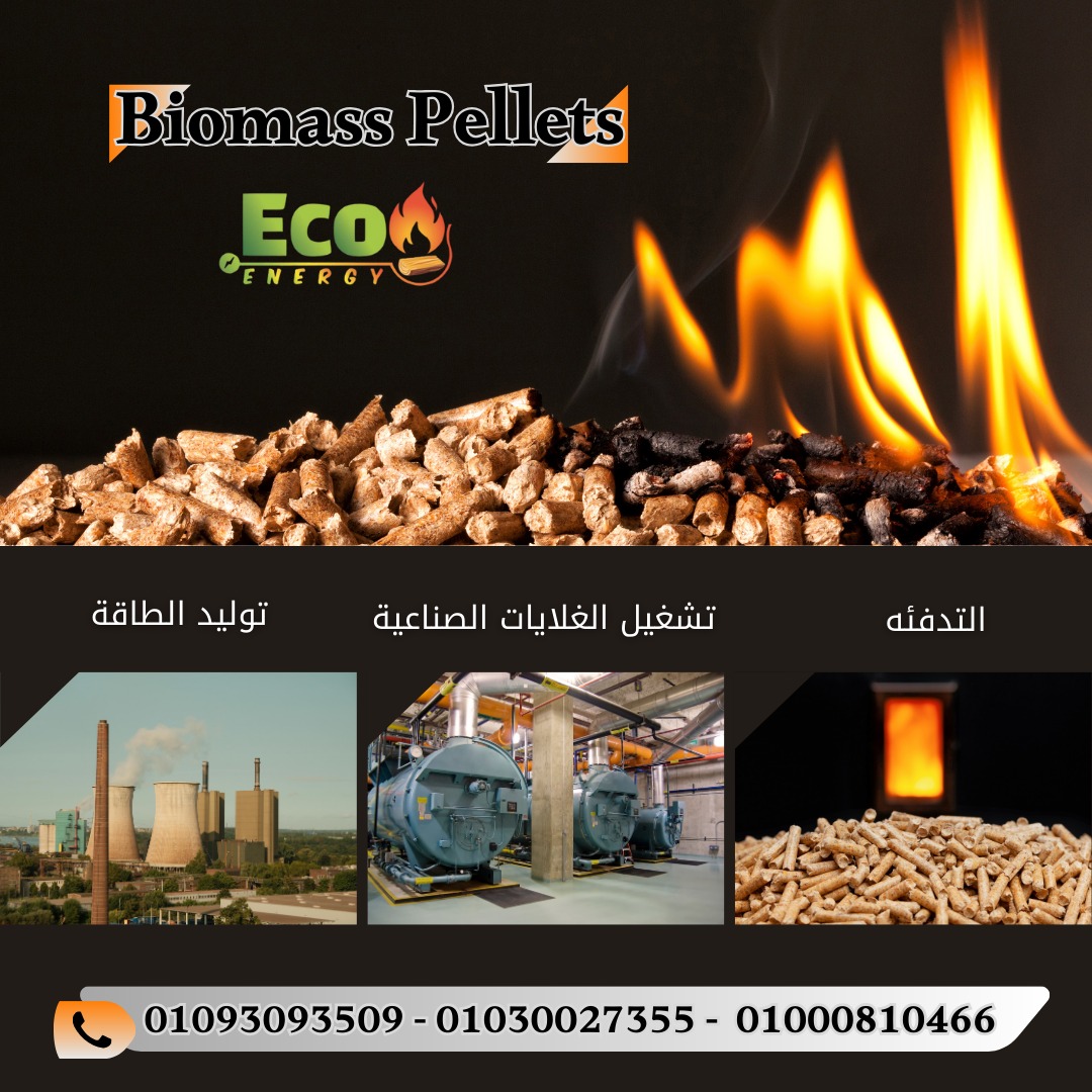 الوود بيليت،???? استثمر في طاقة فعالة وموثوقة تساعدك على تقليل التكاليف وتحسين الأداء!