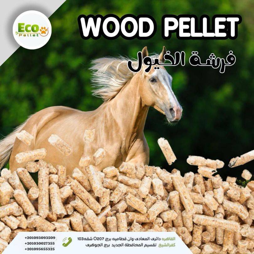 wood pellets،الفرشة الطبيعية الأفضل لإسطبلات الخيول!  ✔️ امتصاص عالي للسوائل ✔️ تحكم فائق في الروائح