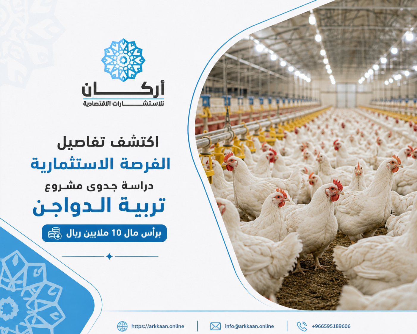 دراسة جدوى مشروع تربية الدواجن في المملكه العربية السعودية بقيمة استثمار 20 مليون ريال 